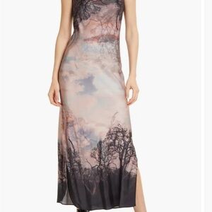 ISO Allsaints Hadley Sumire dress